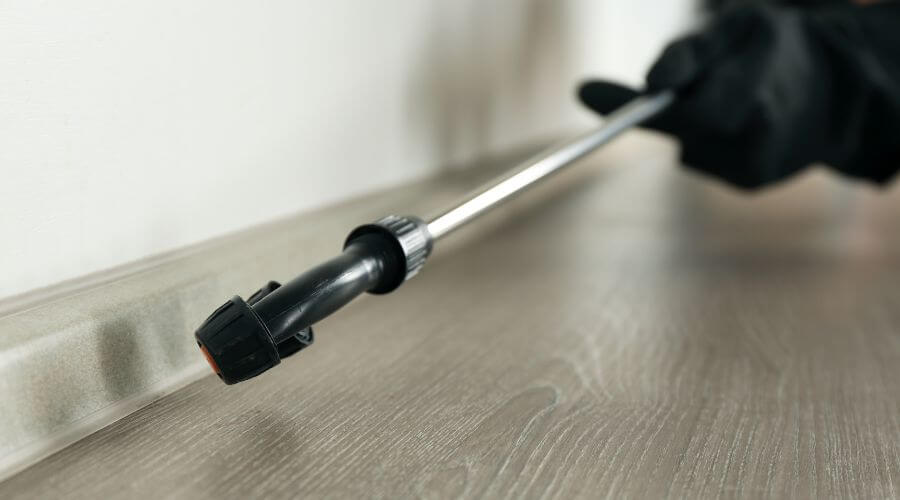 Professional mice removal services in Laveen - Mice Removal Laveen